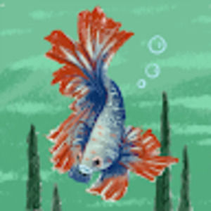 Meet your Posher, Asha